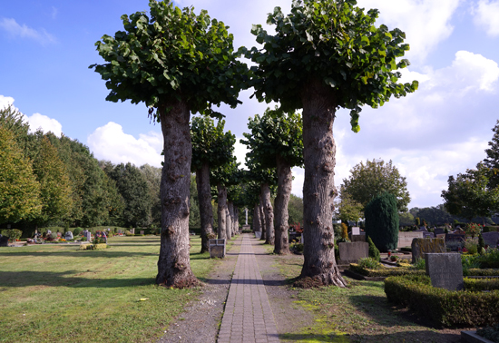 1-Friedhof-Westbevern-ansichten.jpg